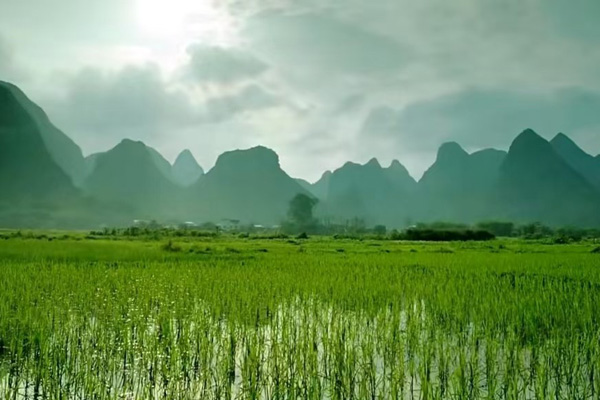 中国义务教育法全面解读：从法律制定到责任落实